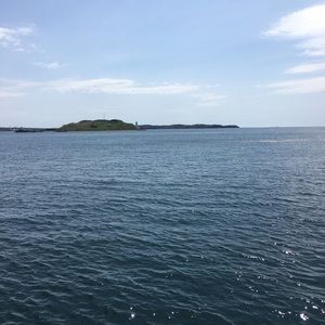 Meet your Posher, Meg